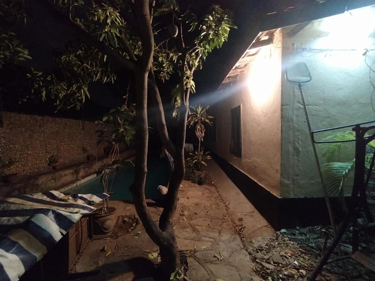 Pedo Nyali Mombasa